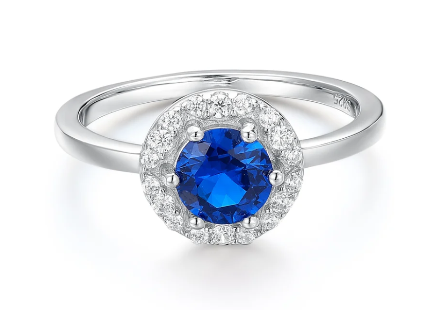 Anatomy of the Rings - Xin Chuang Yi