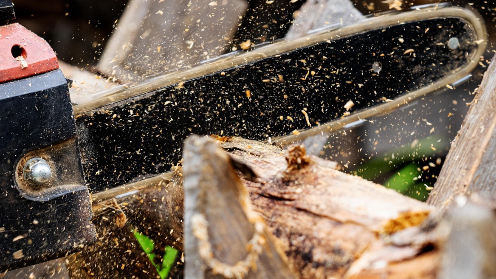 Understanding the Different Types of Wood Blades