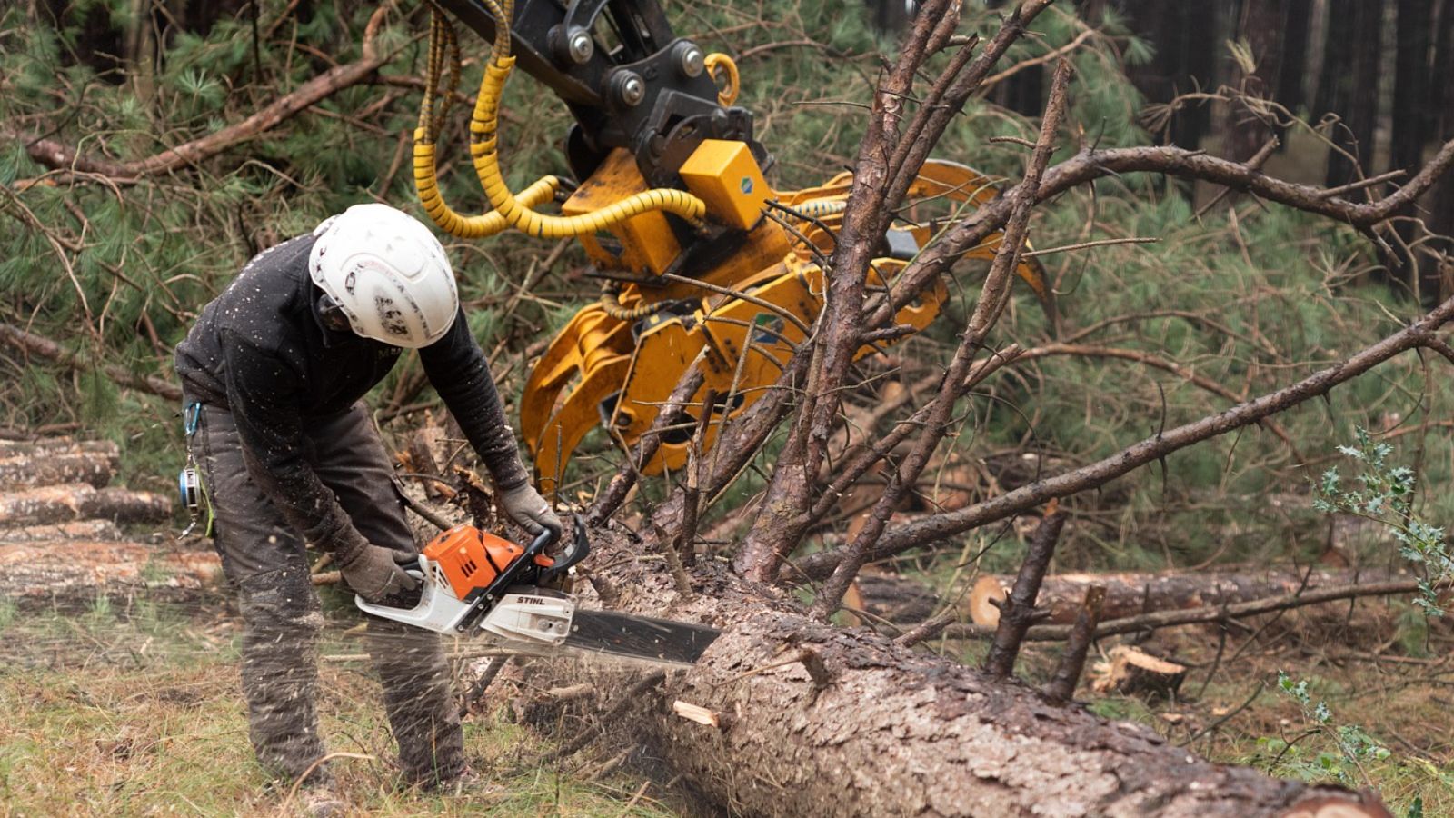 Understanding the Difference Between Wood and Metal Saw Blades