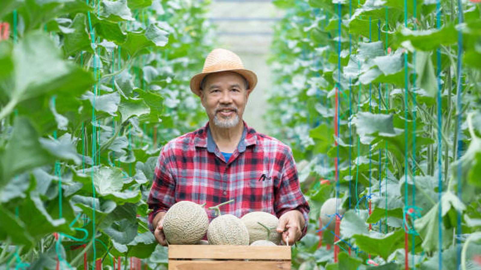 Agricultural Tricycle: Revolutionizing Farming Practices