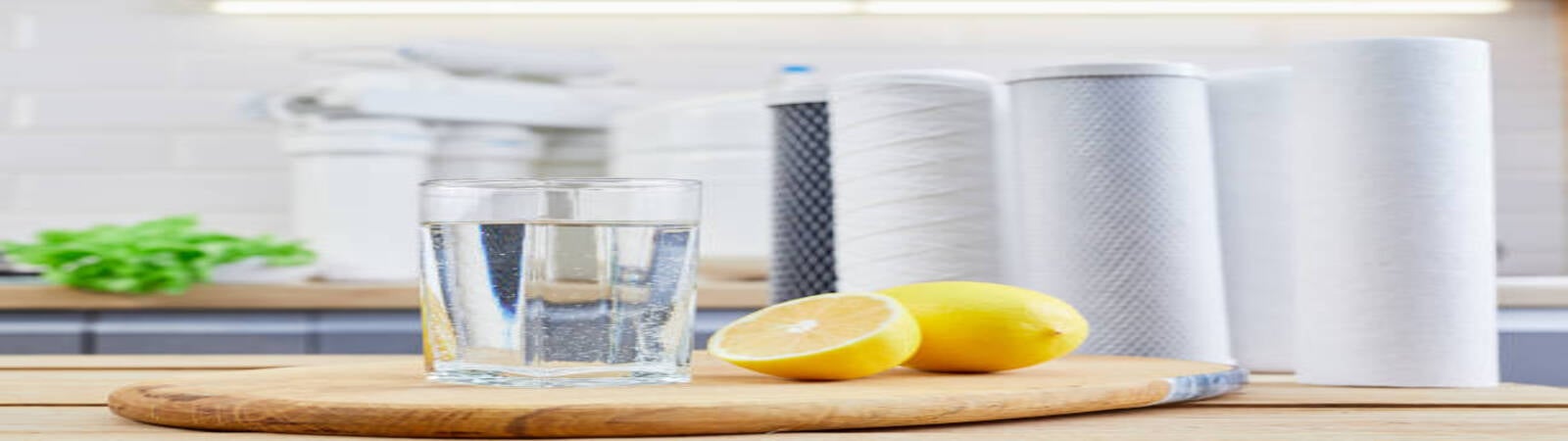 Exploring Alkaline Water Filters: Benefits, Types, and Features