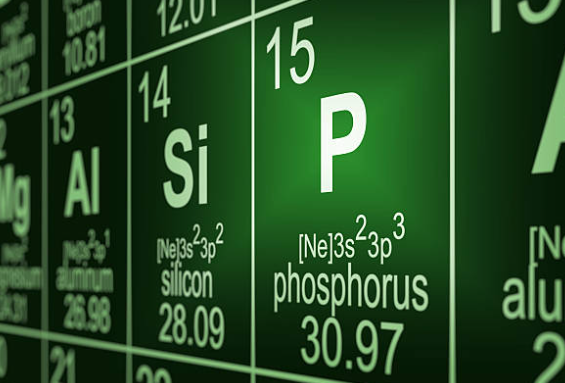 What is the Difference Between White and Yellow Phosphorus?