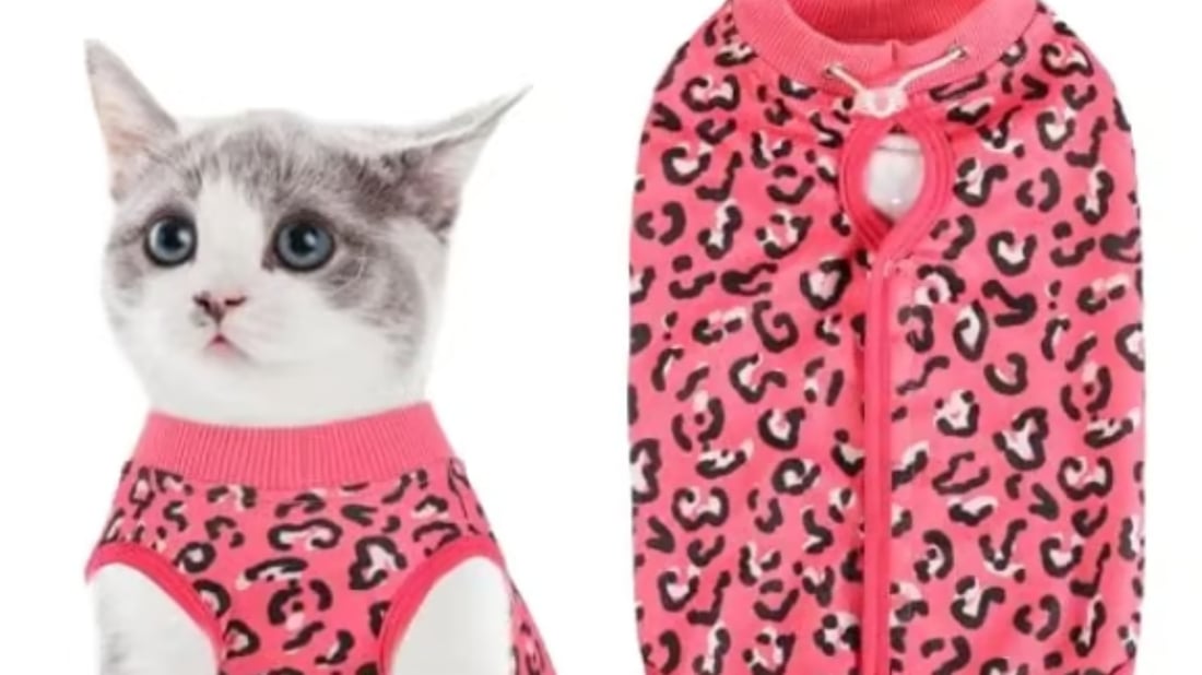 Ultimate Pet Clothes Size Guide for Your Furry Friend