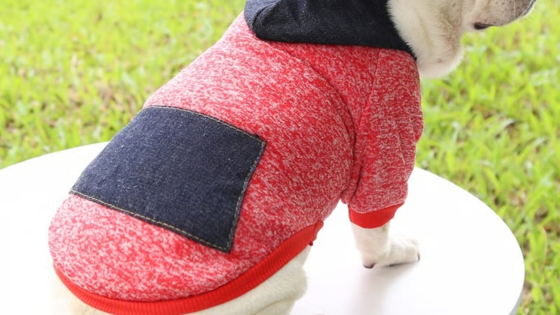 The Ultimate Guide to Pet Clothes for Small Dogs