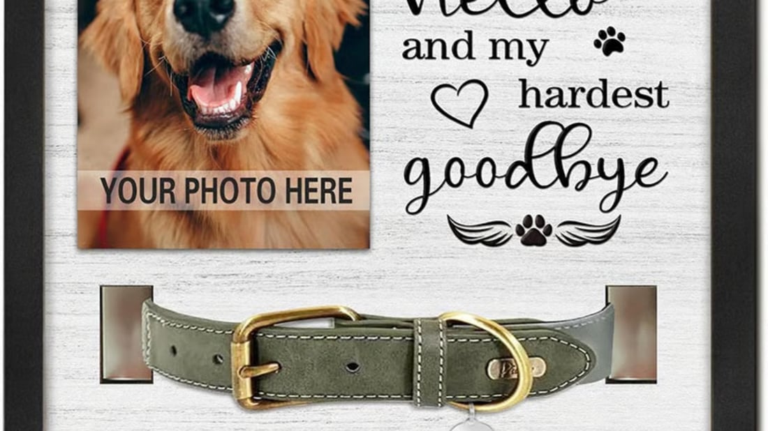 The Ultimate Guide to Pet Collar Holder Memorial