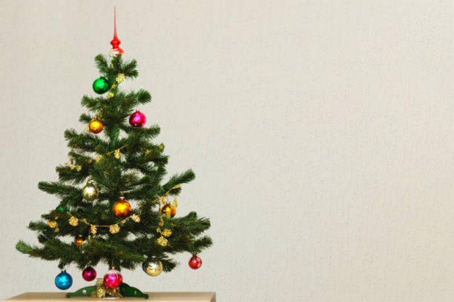 High Quality Small Christmas Tree: How to Choose the Perfect One for Your Home