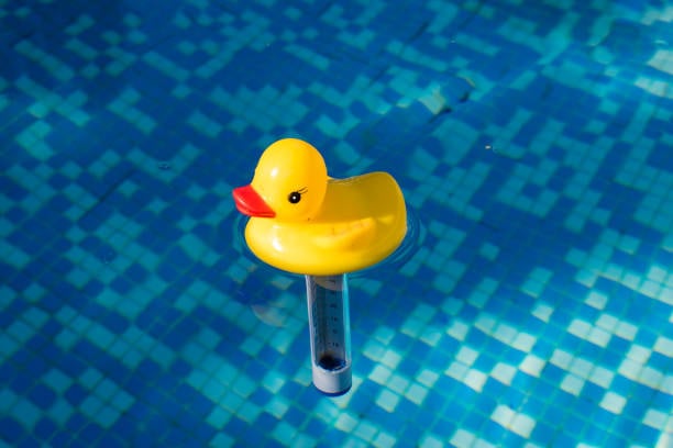 10 Things You Need to Know About Ducky Pool Thermometers