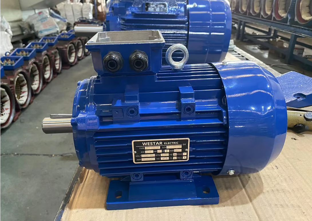 Maintenance and troubleshooting technique for electric motor