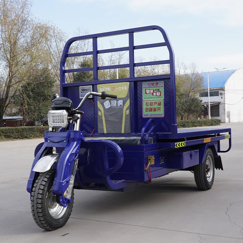Various inspections of electric cargo engineering tricycles
