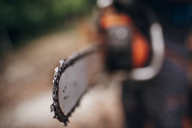 The Ultimate Guide to Using a Jig Saw for Woodworking