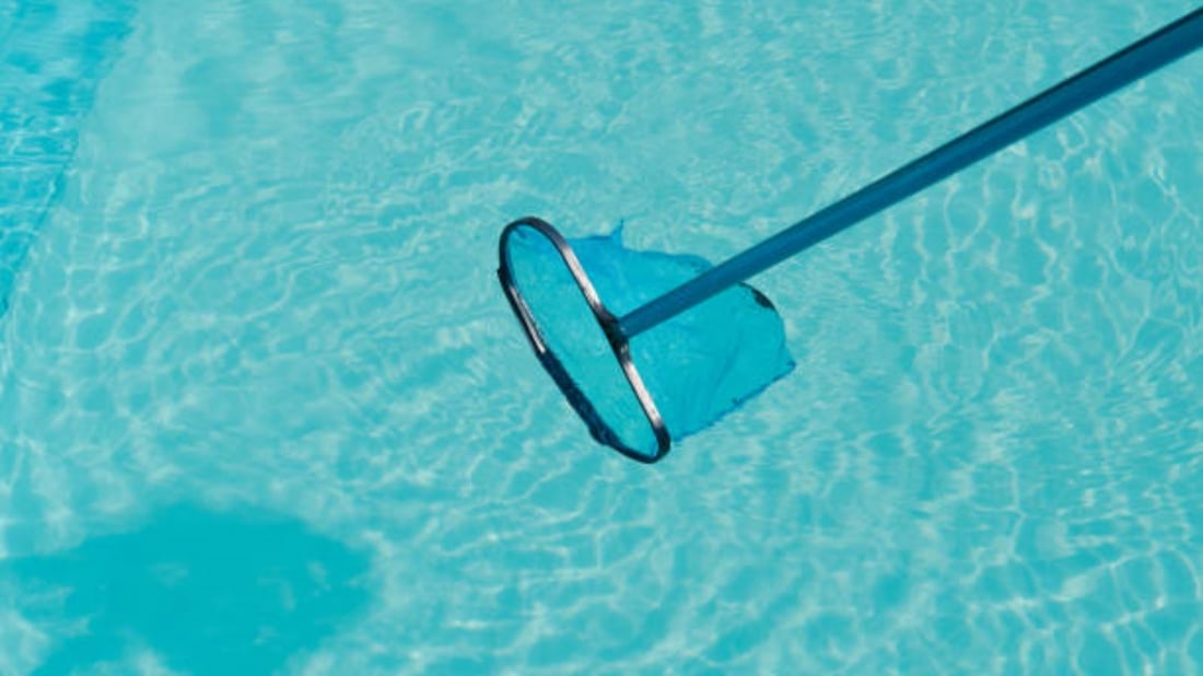 The Benefits of Using Swimming Pool Skimmer Nets