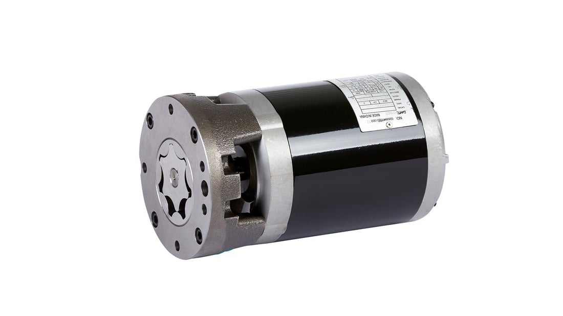 Eccentric Gear Pump: An Overview