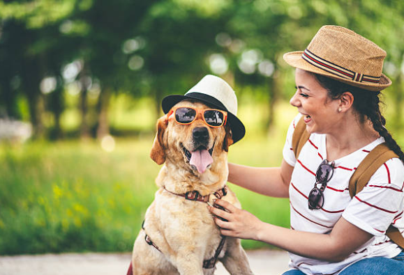 Pup Caps: The Stylish and Functional Choice for Your Dog