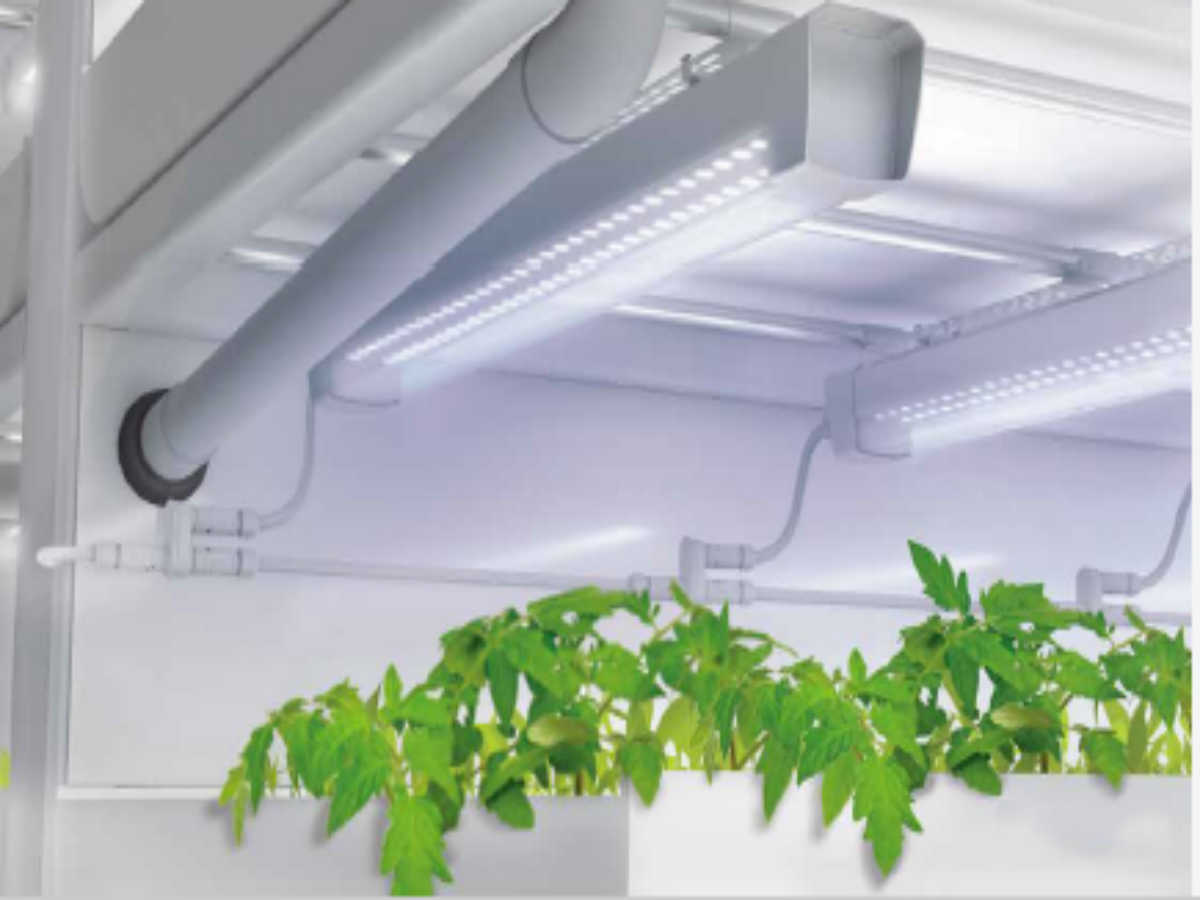 Shining a Light on M12 Male Female Metal 6Pin Connectors: The Key to Reliable LED Outdoor Lighting Products