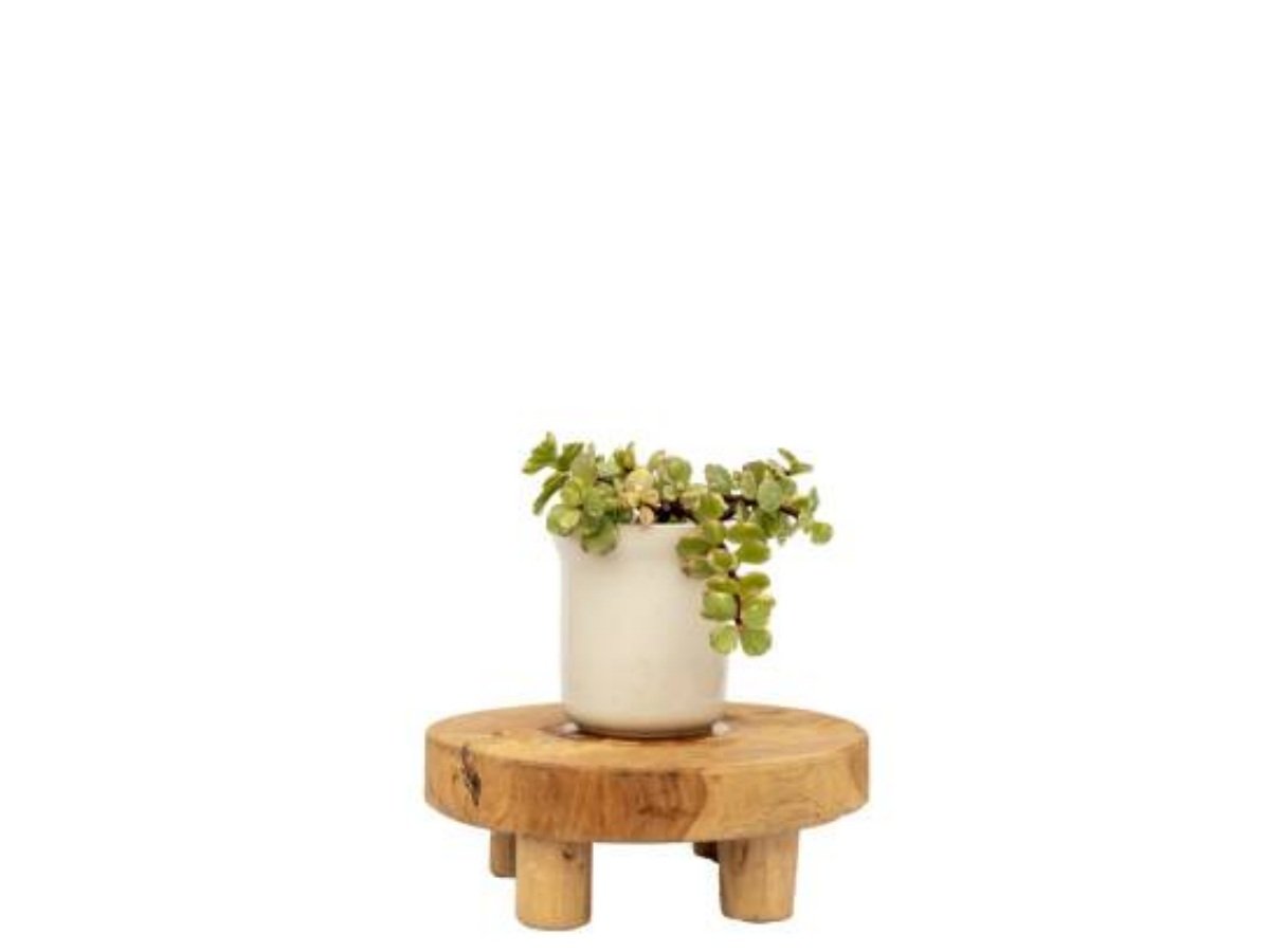 The Perfect Combination: Ceramic Flower Pot with Wood Stand