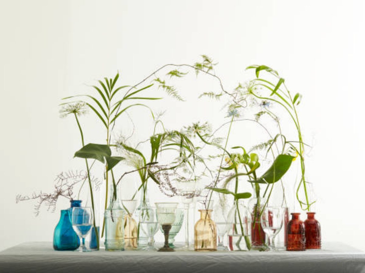 Discover the Benefits of Using Glass Pots for Plants