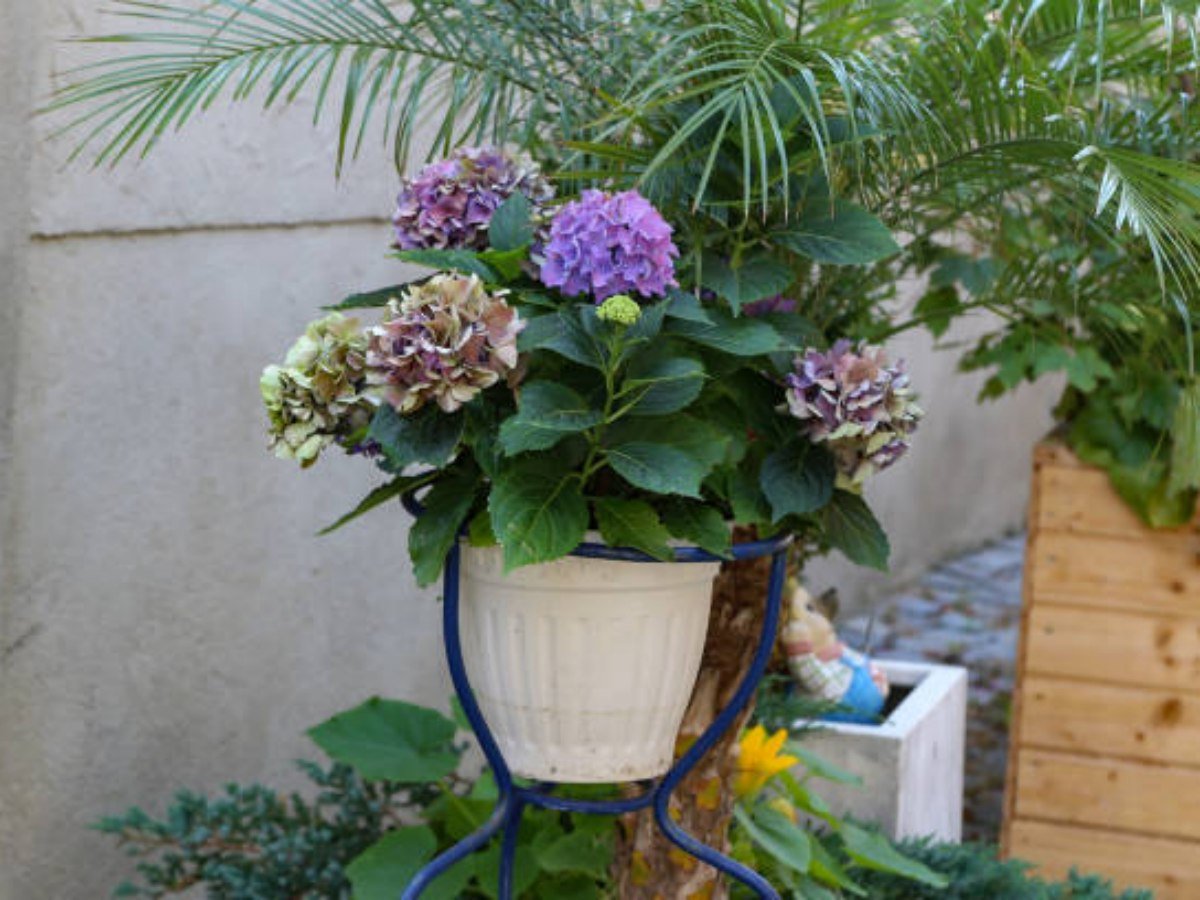 Iron Flower Pot Stand Outdoor: Enhance Your Outdoor Decor with Style and Functionality