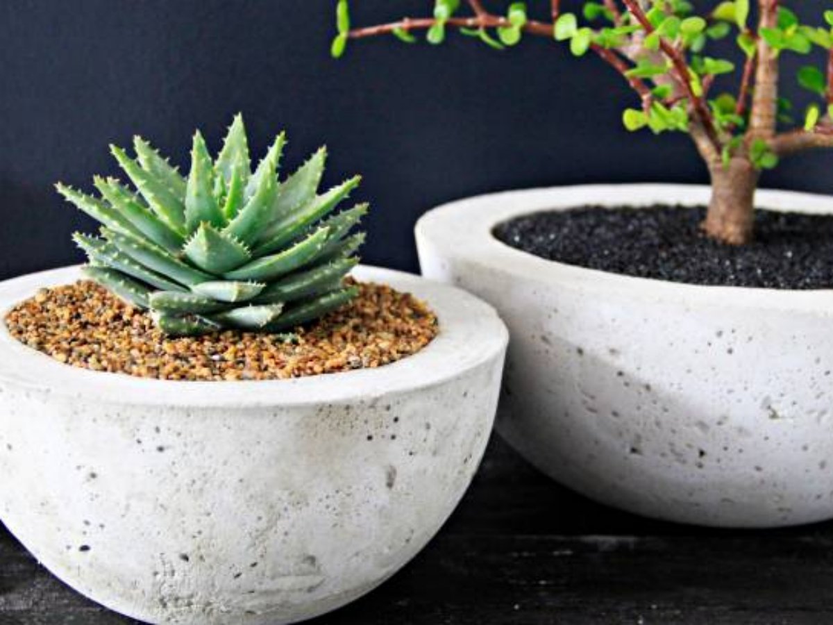 The Ultimate Guide to Round Concrete Planters: Everything You Need to Know