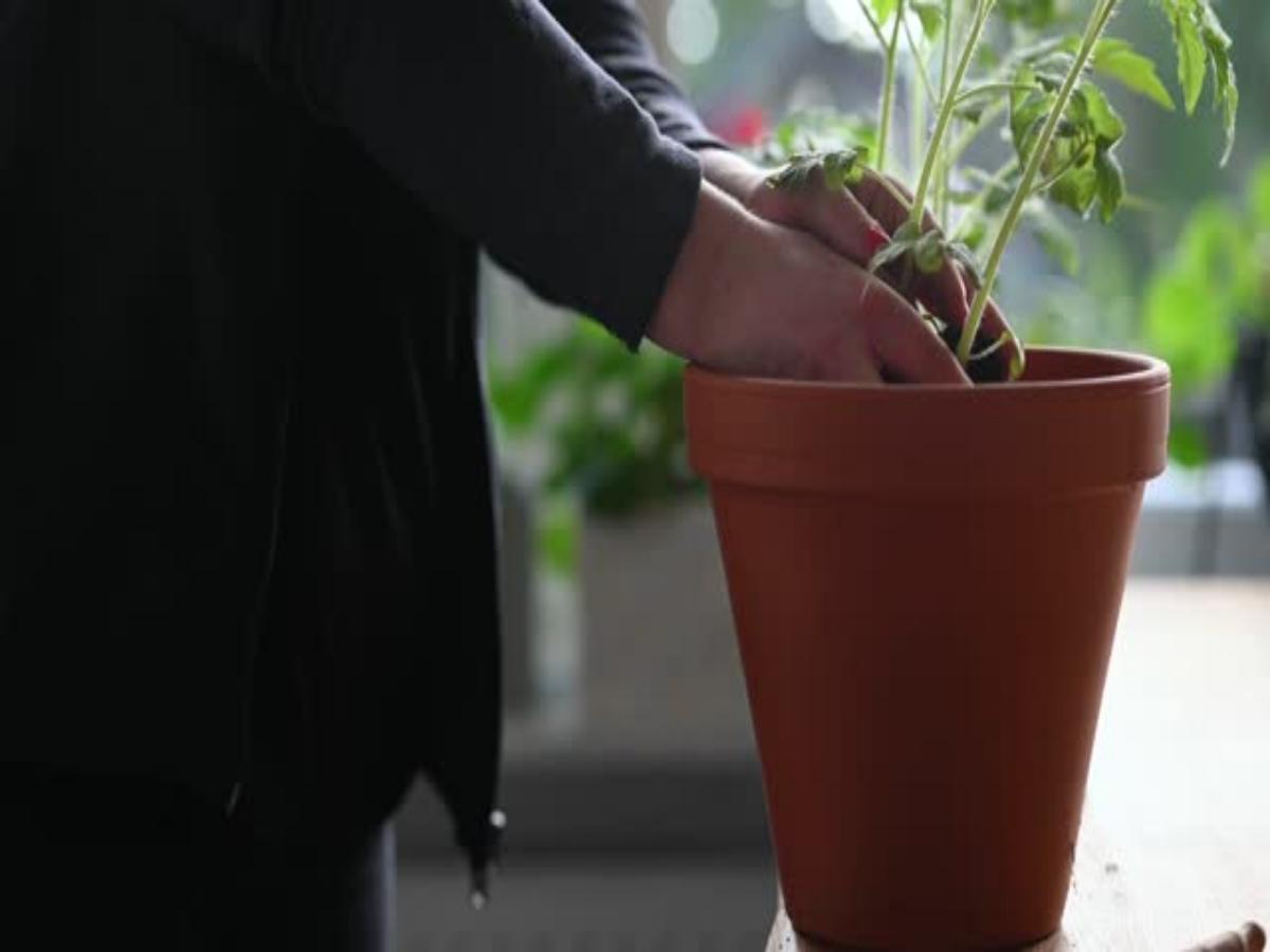 How to Decorate Your House with Pots: A Comprehensive Guide