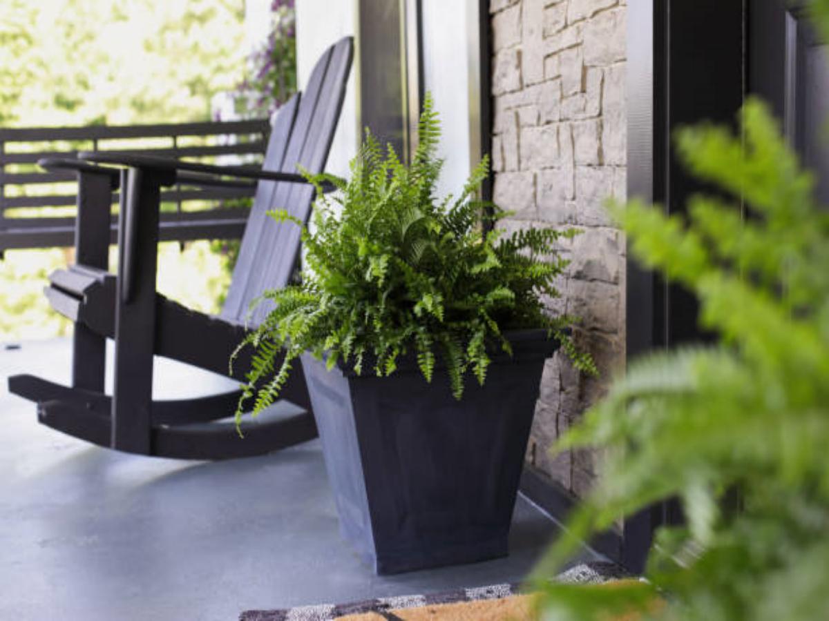Outdoor Big Plant Pots: Enhancing Your Outdoor Space with Style and Functionality