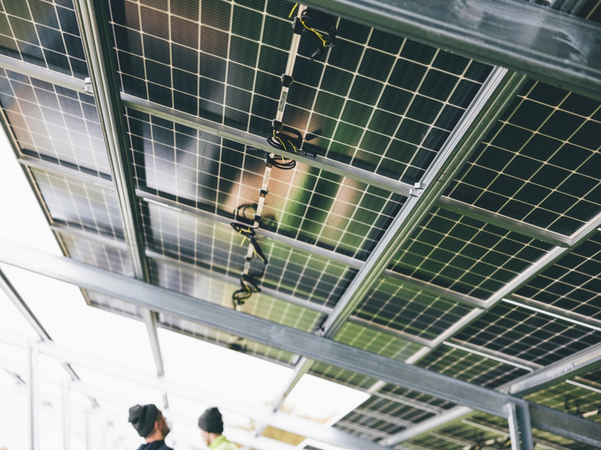 Revolutionizing Solar Panel Installation: The Power of Solar Ground Screws