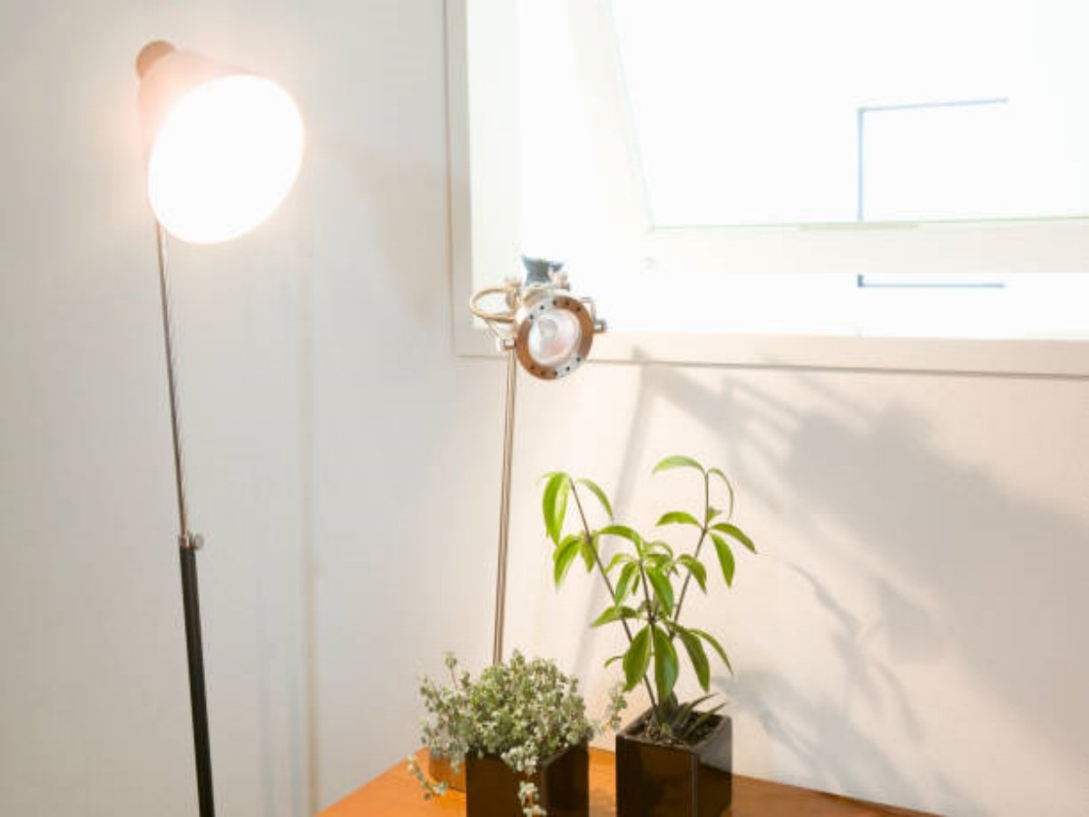 The Ultimate Guide to Choosing the Perfect LED Floor Lamp