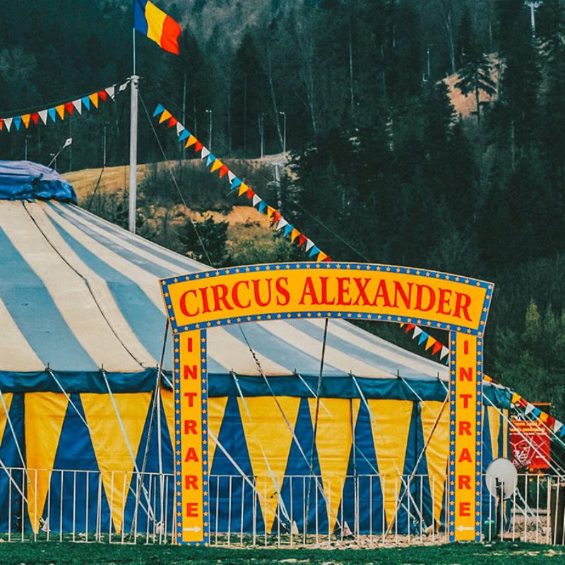 The ultimate guide to purchasing your perfect circus tent circus tent