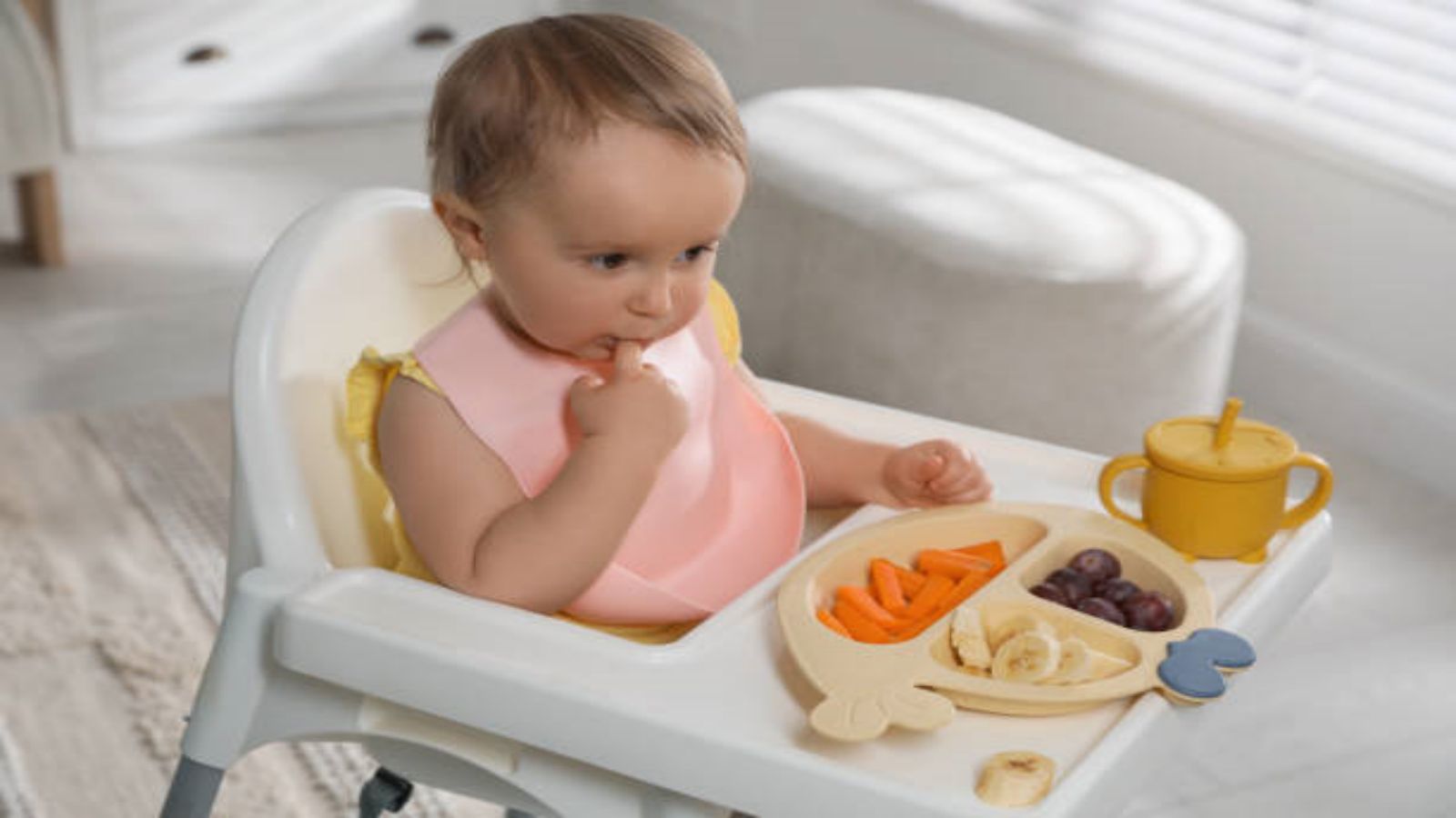 Everything You Need to Know About Baby Feeding Sets Wholesale: Baby Plates, Bowls & Placemats