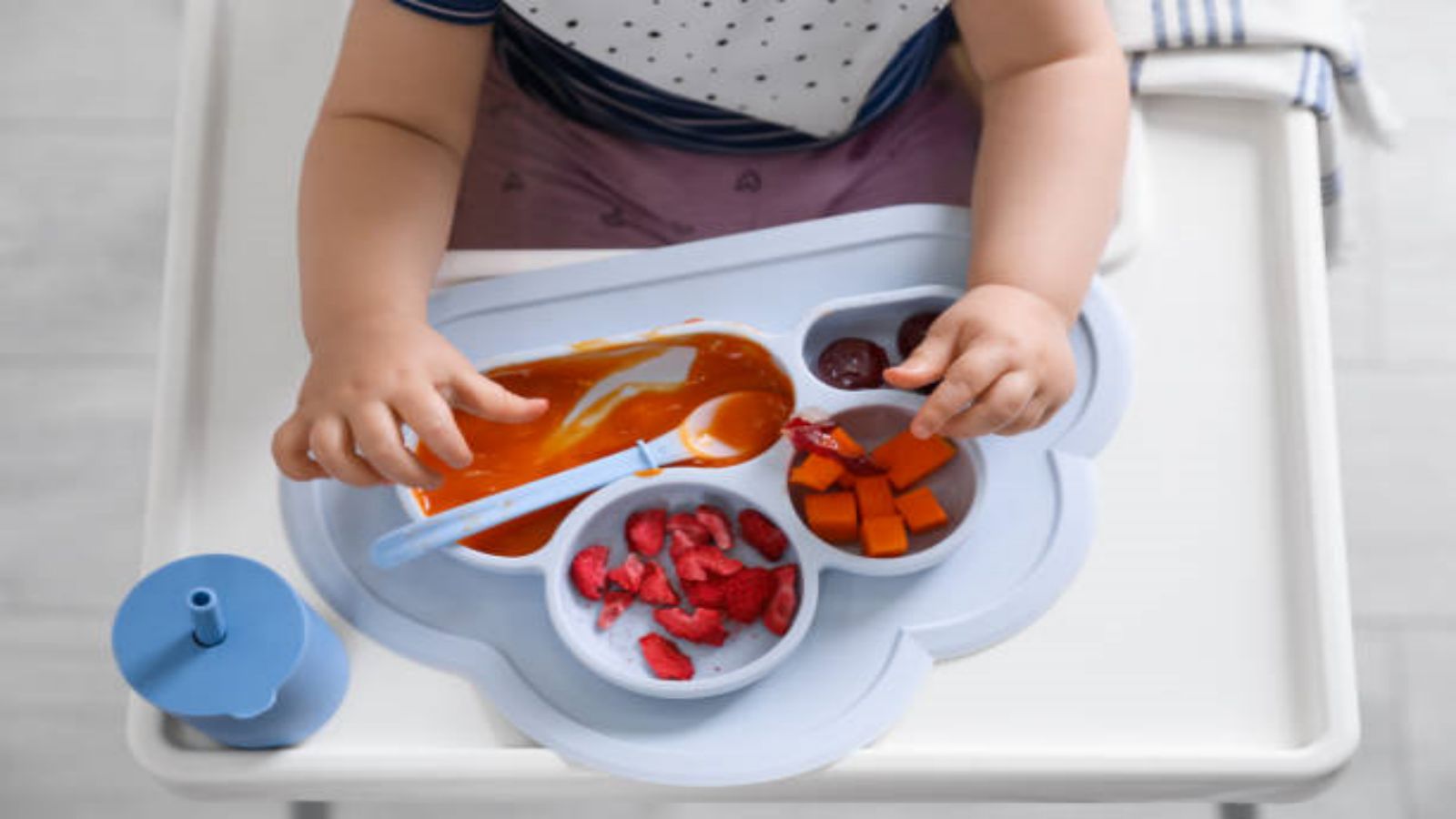 Non Toxic Baby Plates: The Ultimate Guide for Safe and Healthy Feeding