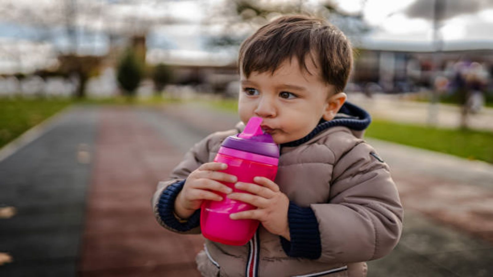 Baby Training Cup vs Regular Sippy Cup: Which is Best for Your Little One