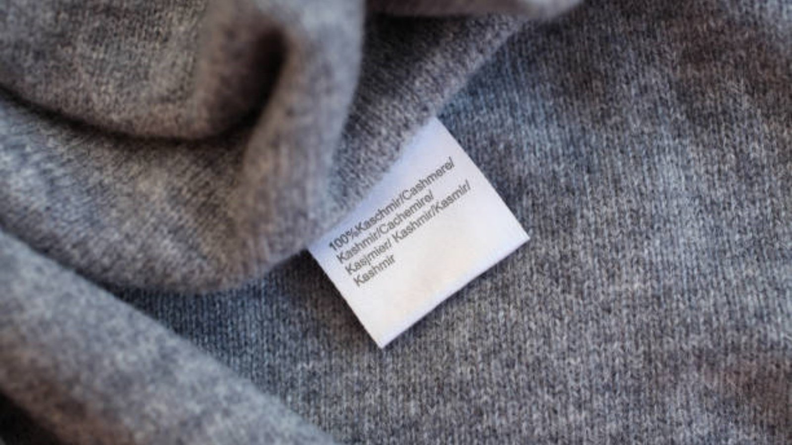 What is so special about cashmere?