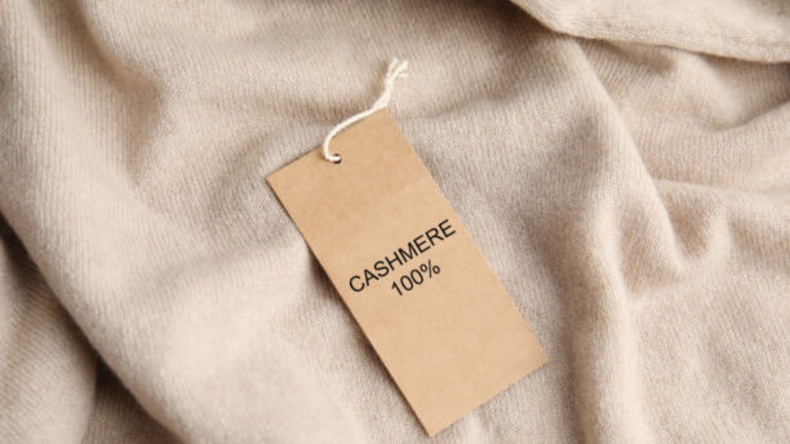 Is Cashmere Better Than Wool?