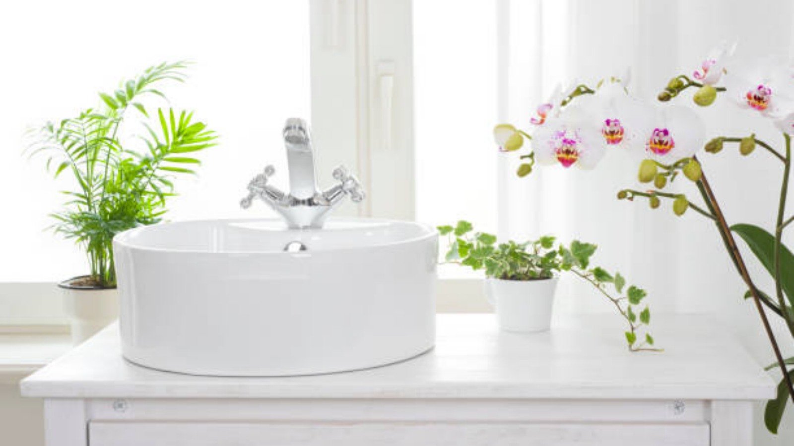 Buy Pedestal Basin: A Comprehensive Guide to Choosing the Perfect Basin