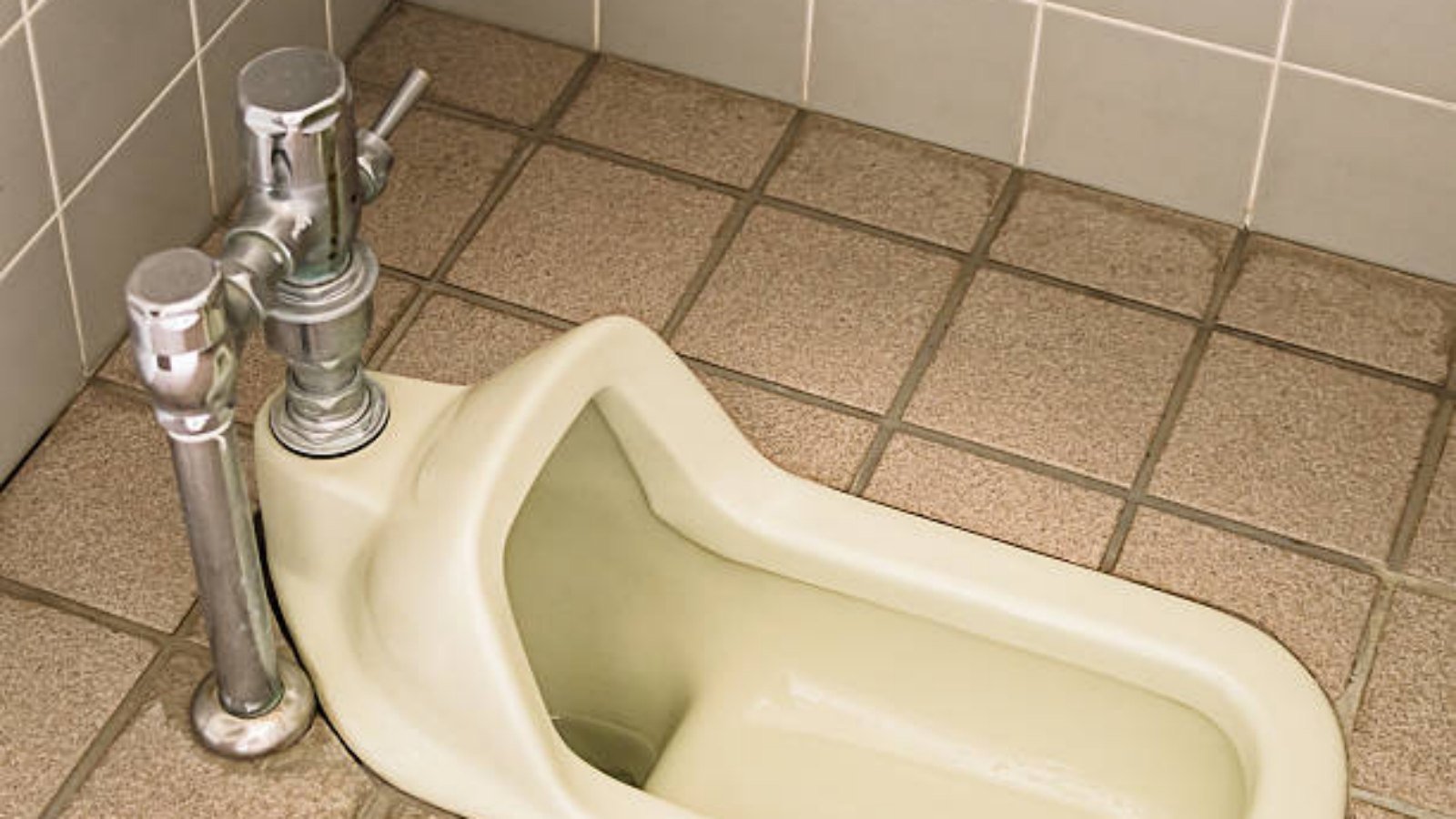 The Benefits of Using a Squat Toilet with Flush