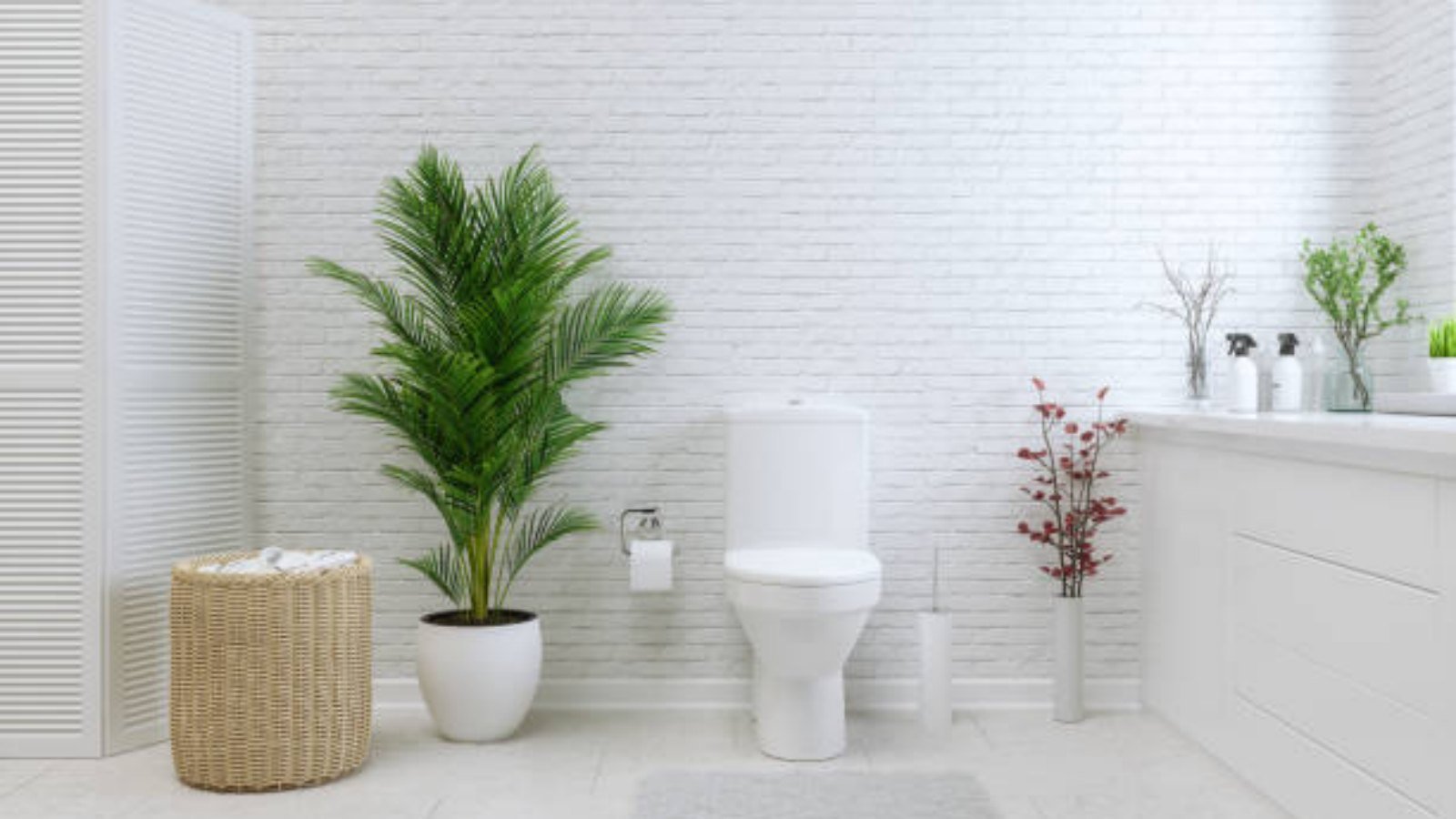 A Modern Toilet: Revolutionizing the Bathroom Experience