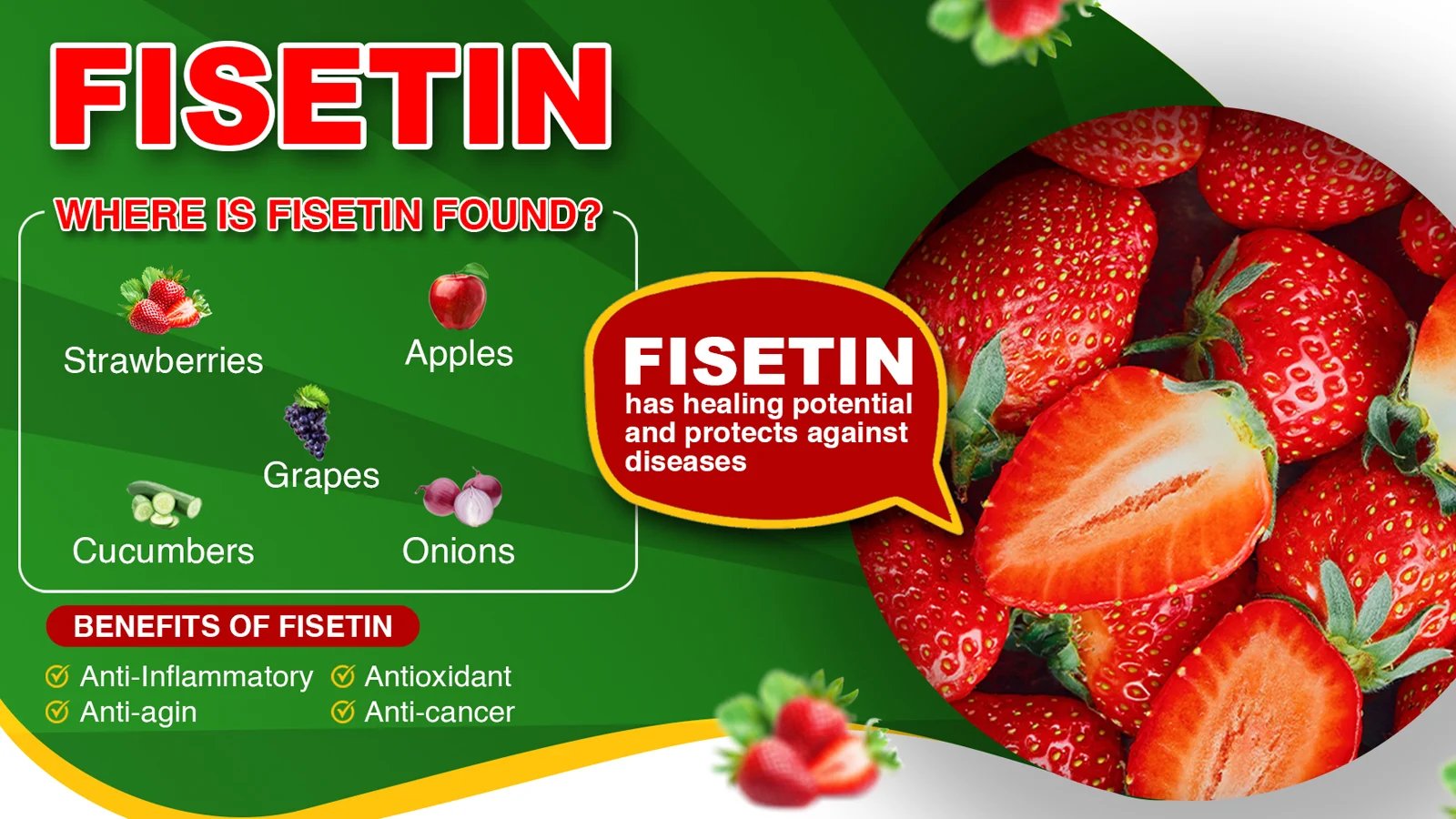 مسحوق Fisetin الفاخر للبيع، اشتر منتجك اليوم واستمتع بتجربة فوائد Fisetin