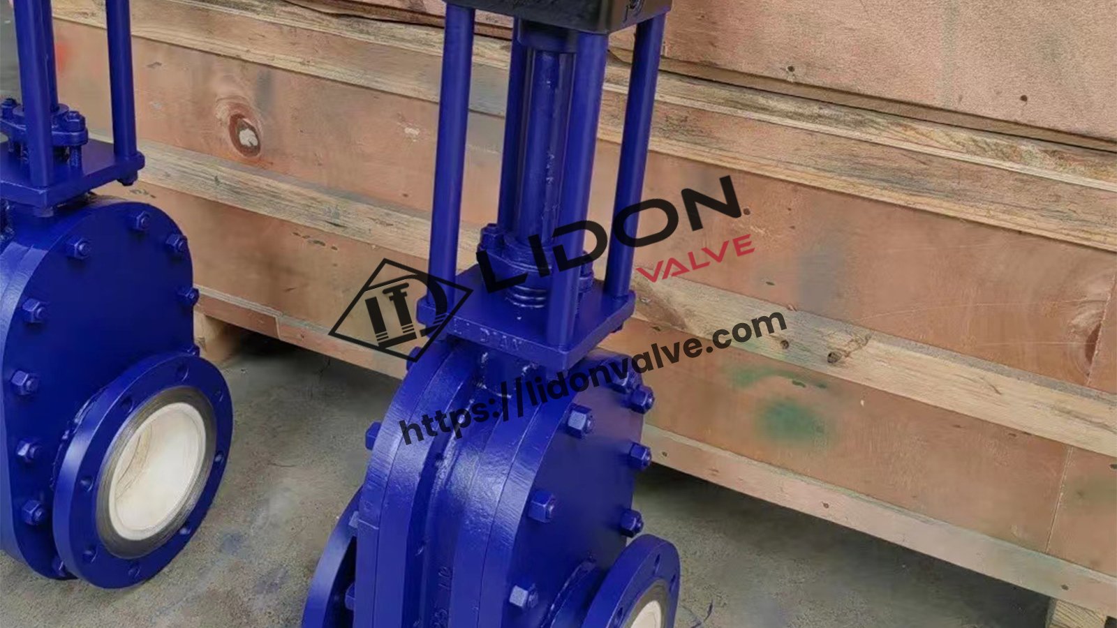What is a Parallel Slide Gate Valve?