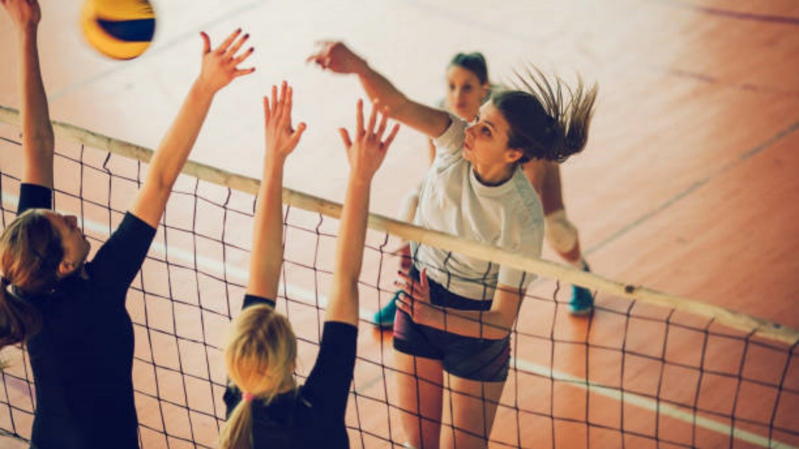 Der ultimative Leitfaden für Rasenvolleyball: Alles, was Sie wissen müssen