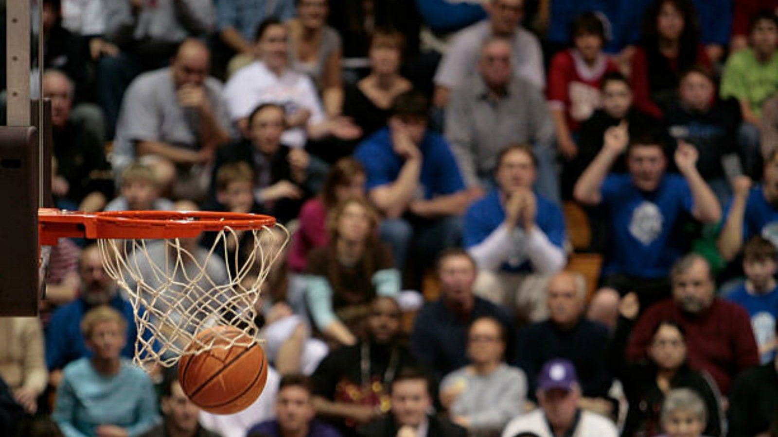 Der Aufstieg des Hawks Basketball: Ein umfassender Blick auf die Aussichten