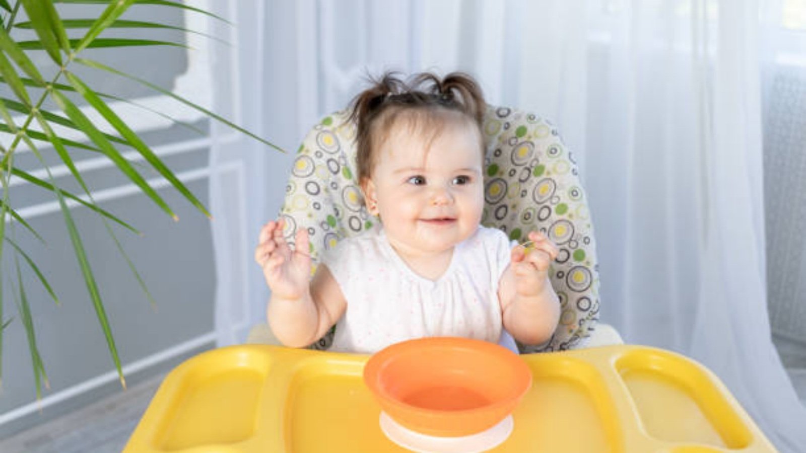 The Best Baby Suction Plate: Ensuring a Mess-Free Mealtime