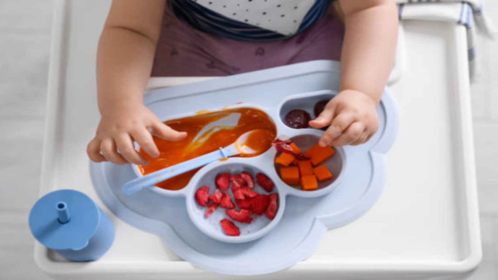 What to Expect from the Best Baby Plates: A Comprehensive Guide