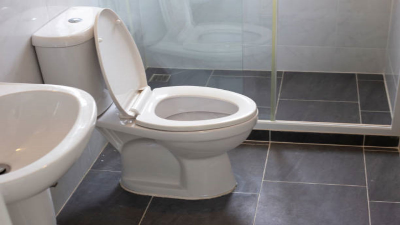 Toilet Seat Round vs Elongated: Which One Is Right for You?