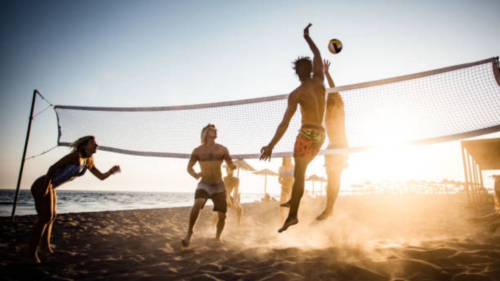 Der ultimative Leitfaden zum Fieldhouse-Volleyball: Alles, was Sie wissen müssen