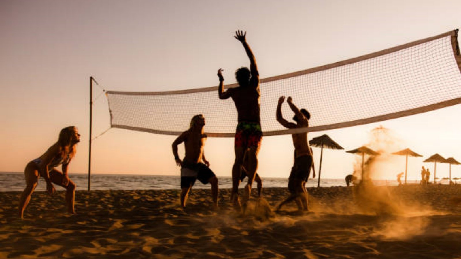 The Ultimate Guide to Sportime Volleyball: Everything You Need to Know