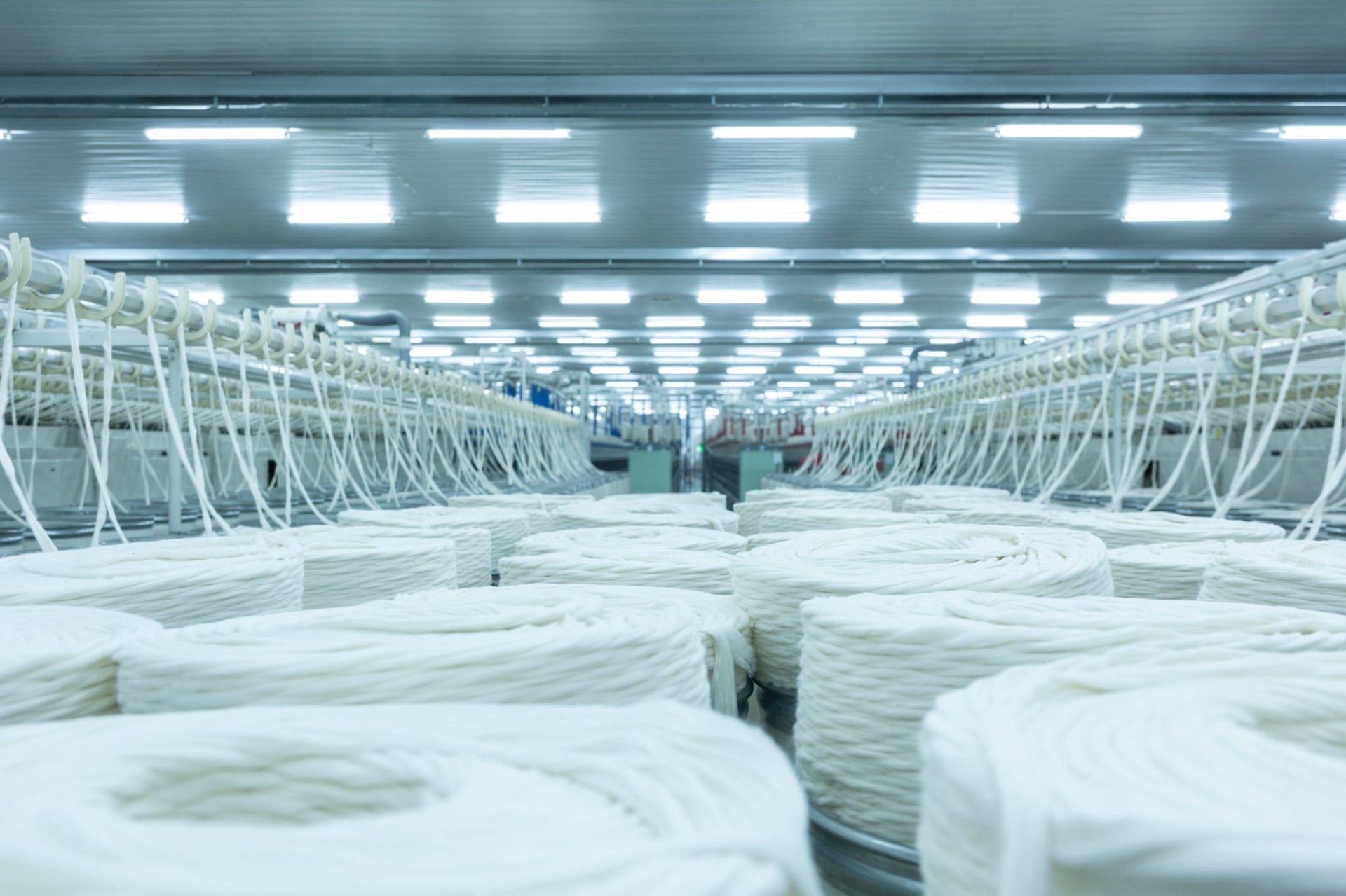 What is Merino Wool, How It is Different from Cashmere?