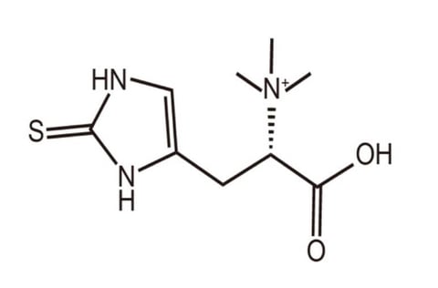 ¿Es la L ergotioneína una vitamina para la longevidad y beneficios de la ergotioneína?