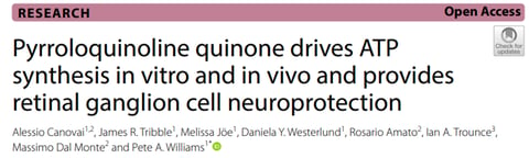 ¿Qué hace la PQQ por el cerebro?