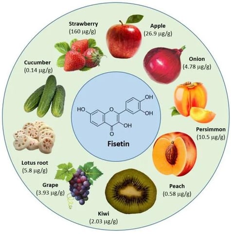 Beneficios de Fisetin y ¿es seguro tomar Fisetin todos los días?