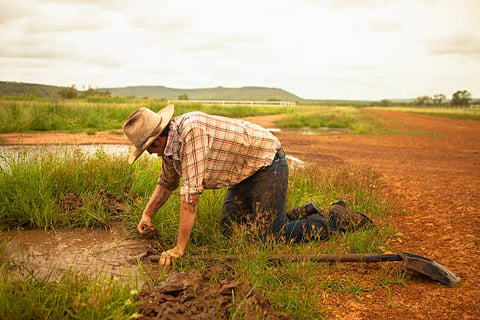 Australian Stockman style