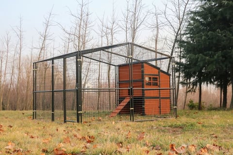 Super Large Outdoor Wooden Chicken Coop Hen House Poultry Cage for 20 ... - 1485380A5